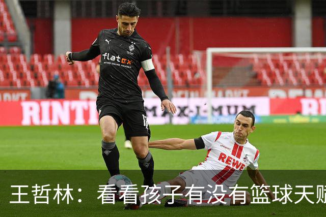 王哲林：看看孩子有没有篮球天赋 如果有天赋可以完成我的遗憾